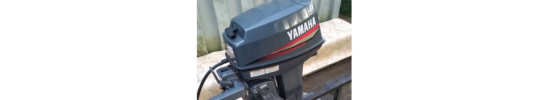 Yamaha 25N